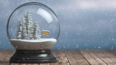 winter-signage-that-sells:-how-to-bring-the-holidays-to-life-without-snow-in-la