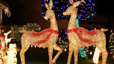 outdoor-christmas-reindeer-light-displays:-common-shapes-and-structural-features